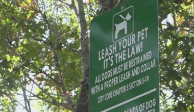 Woman recovering after stray dog attack while exercising on southeast side, officials say