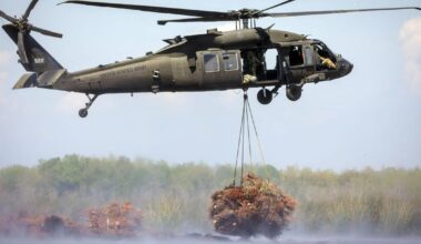 Christmas tree recycling starts Friday in New Orleans | Environment