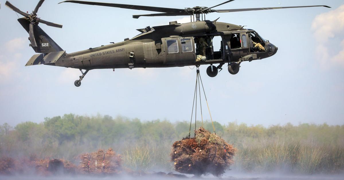 Christmas tree recycling starts Friday in New Orleans | Environment