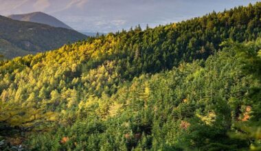 Proposed changes to the Endangered Species Act sparks debate | News