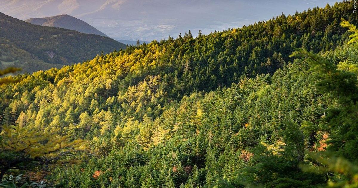 Proposed changes to the Endangered Species Act sparks debate | News