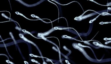 At least 197 children were fathered by sperm donor with cancer-causing gene. Some have already died | News