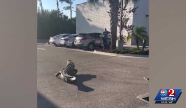 10-foot gator tossed from Florida 7-Eleven