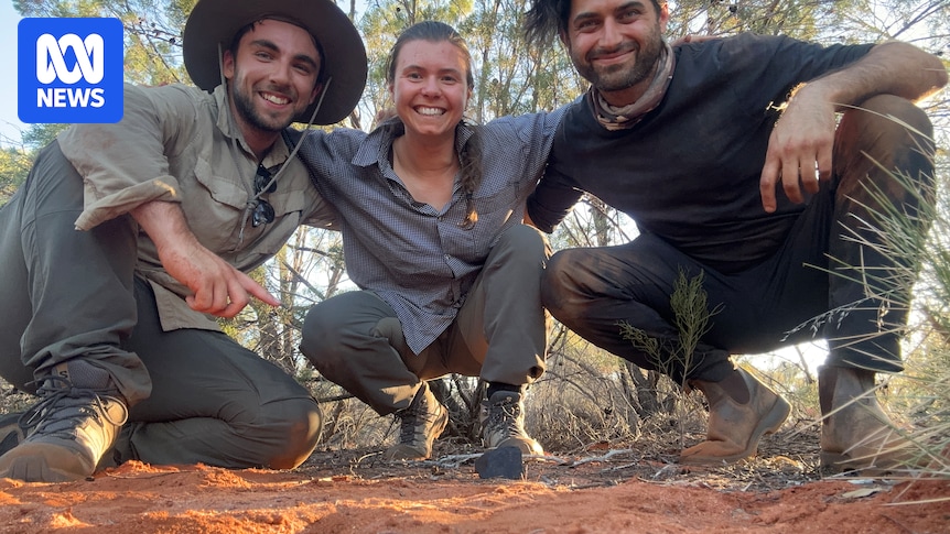 Desert Fireball Network students find fist-sized meteorite in outback WA