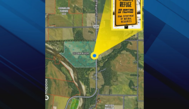 DNR searching for deer poacher in Johnson County