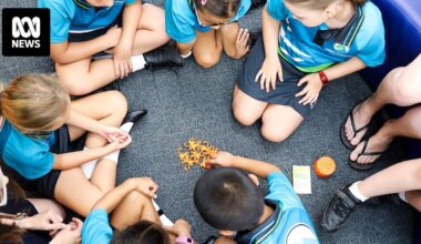 How to interpret NAPLAN results and what the data actually tells you