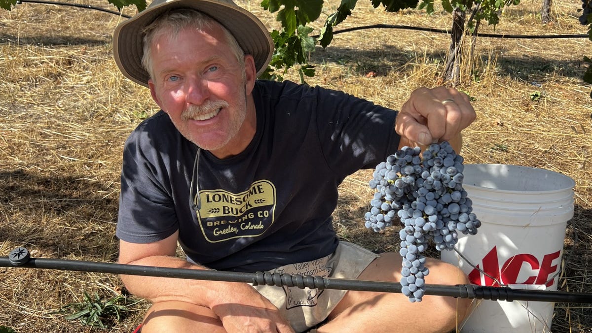 Here are 6 Americans who became 401(k) millionaires