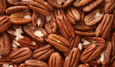 Are pecans good for you? Plus, how much protein they have