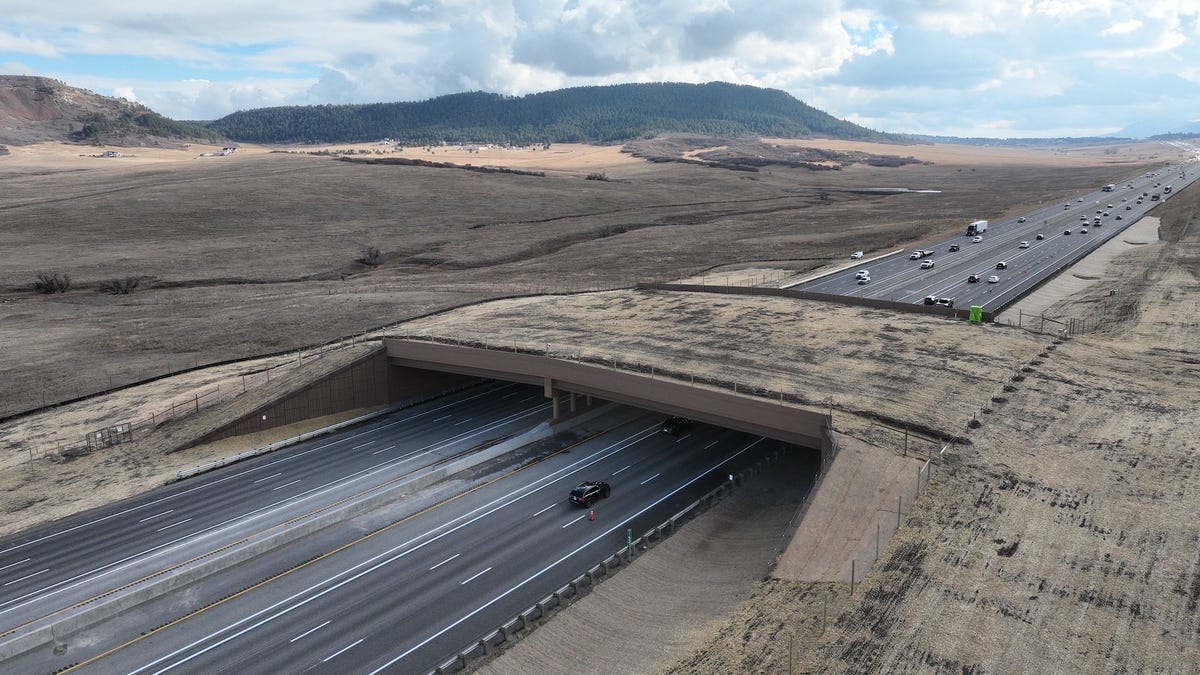 North America's largest wildlife overpass opens in Colorado