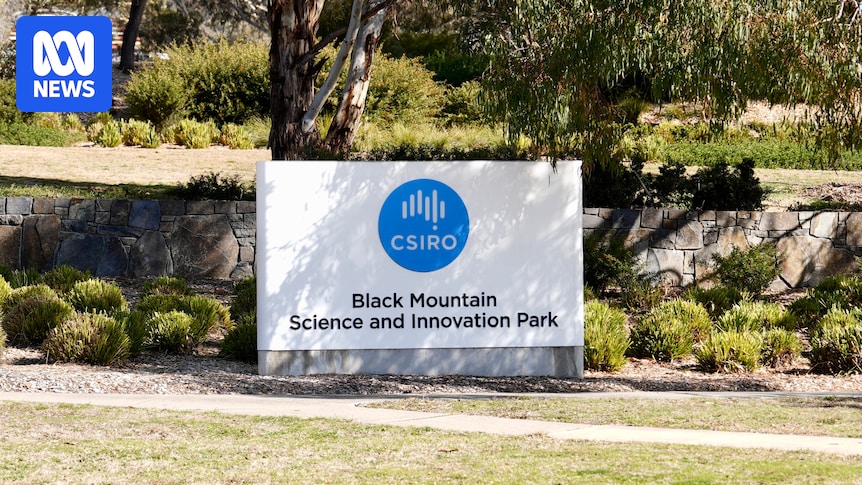 CSIRO to receive $233 million in mid-year budget but up to 350 jobs still to be cut