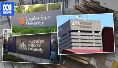 University students 'betrayed' by corporatised universities as senate inquiry calls for law change
