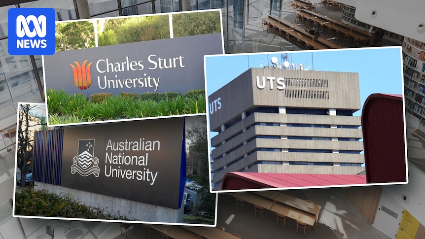 University students 'betrayed' by corporatised universities as senate inquiry calls for law change