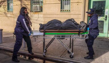 Man shot dead in Bronx apartment stairwell in homicide that snapped 12-day murder-less streak in NYC – amNewYork