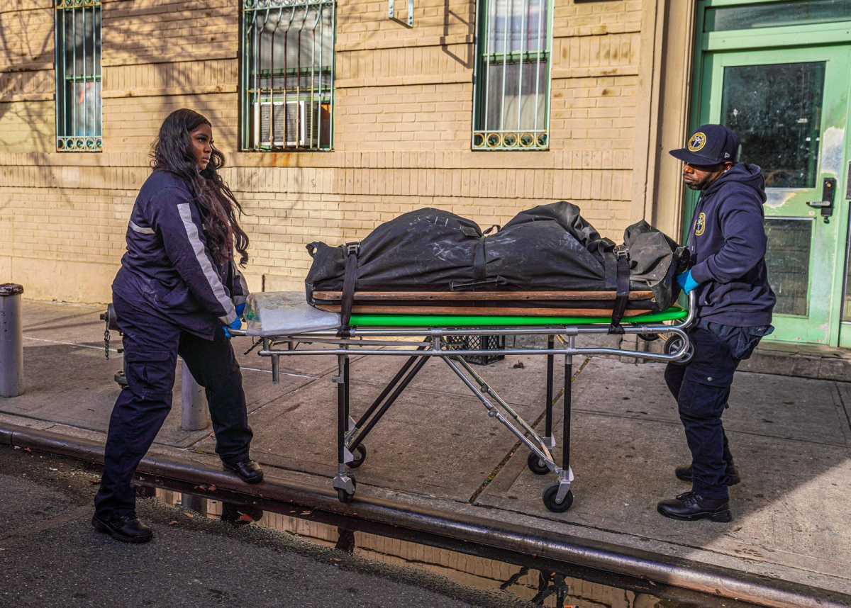 Man shot dead in Bronx apartment stairwell in homicide that snapped 12-day murder-less streak in NYC – amNewYork