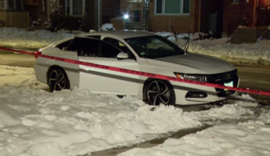 Concealed carry permit holder shoots teen after car break-in on Chicago's South Side