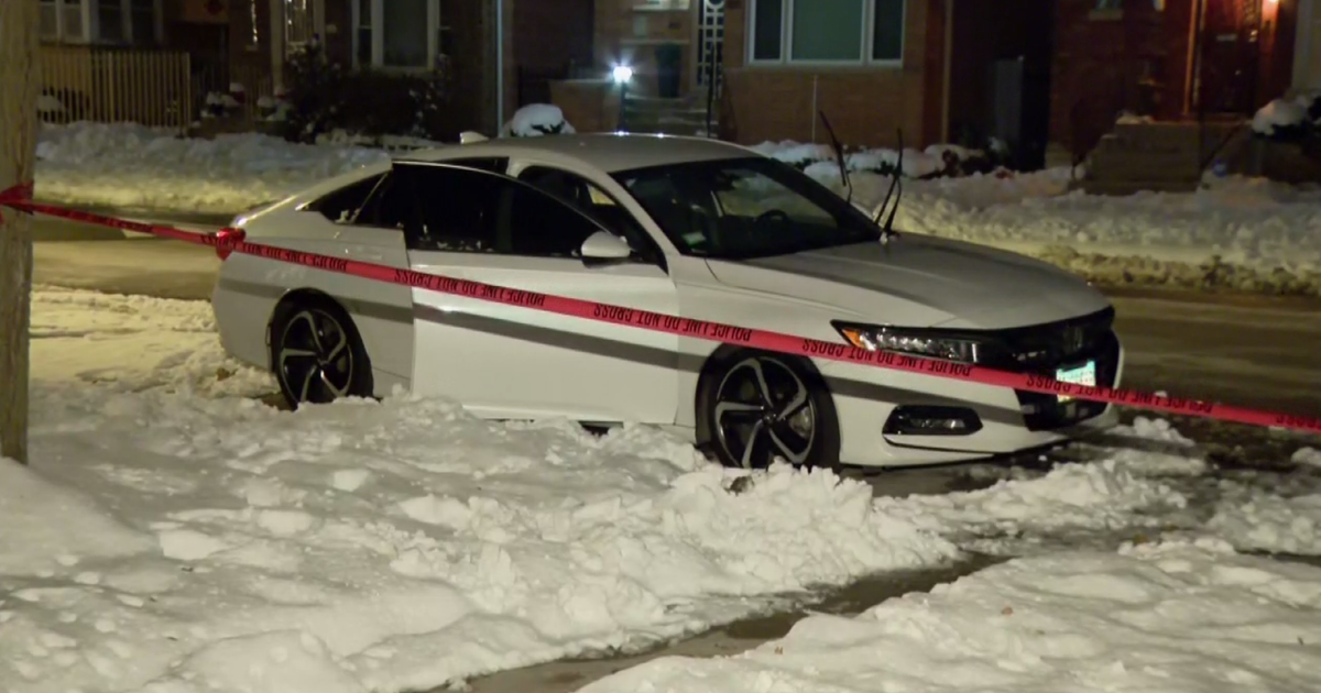 Concealed carry permit holder shoots teen after car break-in on Chicago's South Side