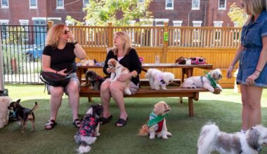 Shih Tzu owners gathered at the patio at The Boozy Mutt for an August 2025 breed meet up. The dog-friendly Fairmount bar is closing on Jan. 3, 2026 after just over two years in business.