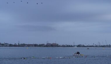 Mexican Navy plane crashes off US coast, killing five | News