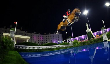 Best Of 2025: Top Photographers’ Favorite Photos