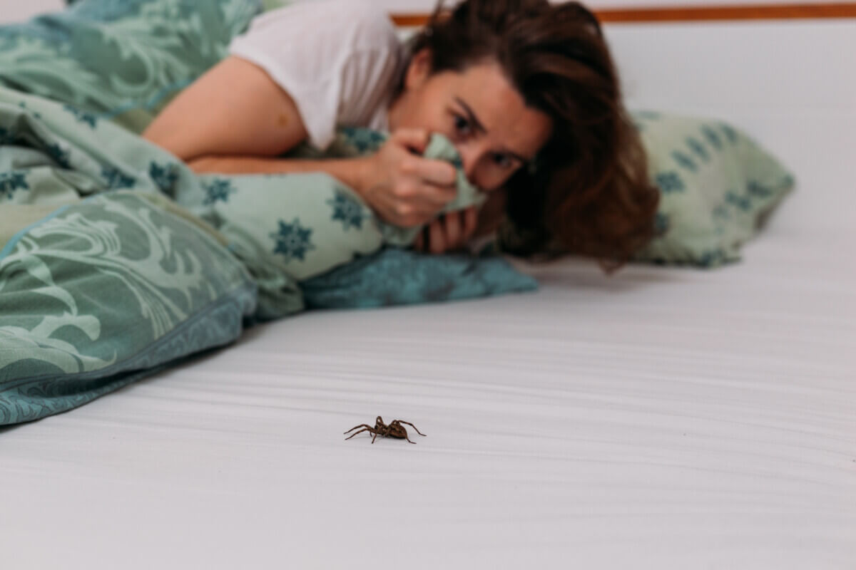 Woman scared of spider in her bed