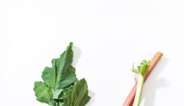 The 13 Best Vitamin E Foods, According to Dietitians