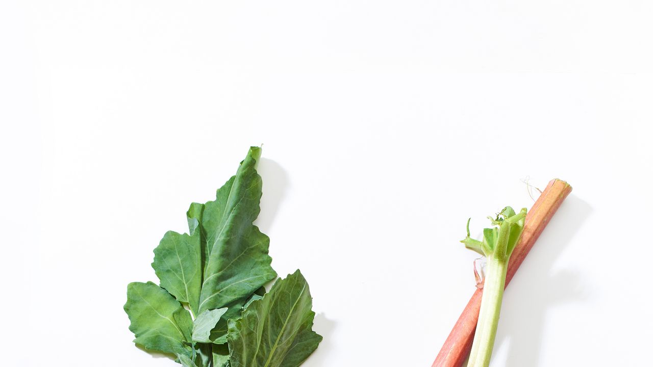 The 13 Best Vitamin E Foods, According to Dietitians