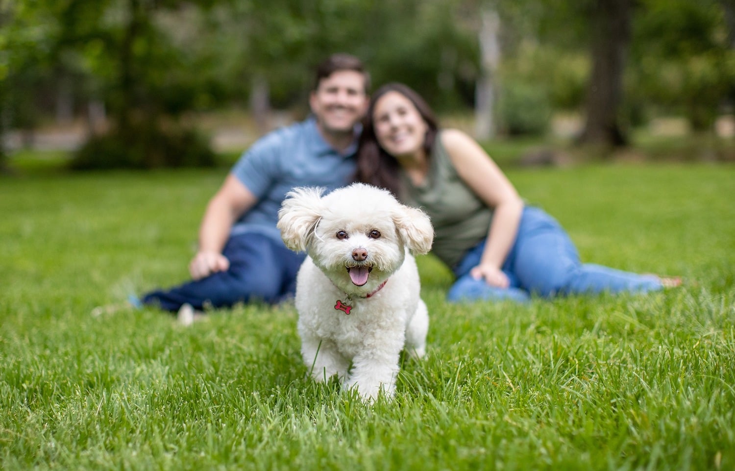 San Diego Magazine's Cutest Pets Contest 2025 winners featuring photography from Allison Shamrell Pet Photography