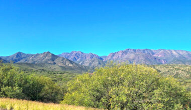 mountains in arizona covered in green undergrowth