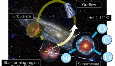 Supernovae drive turbulence and outflow in the gas dynamics of a galaxy. It is not enough to simply model the stars and dark matter, but also take this into account when modelling the gas distribution.
