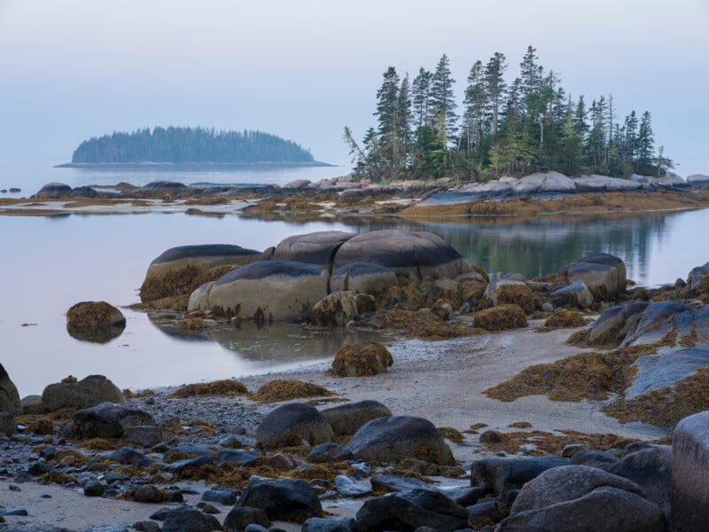 Rocky shoreline with seaweed at low tide, calm water, and a small island covered with evergreen trees in the distance under a hazy sky.