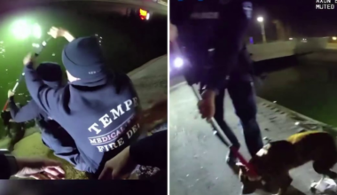 Firefighters, police officers help save pup stuck in Tempe canal