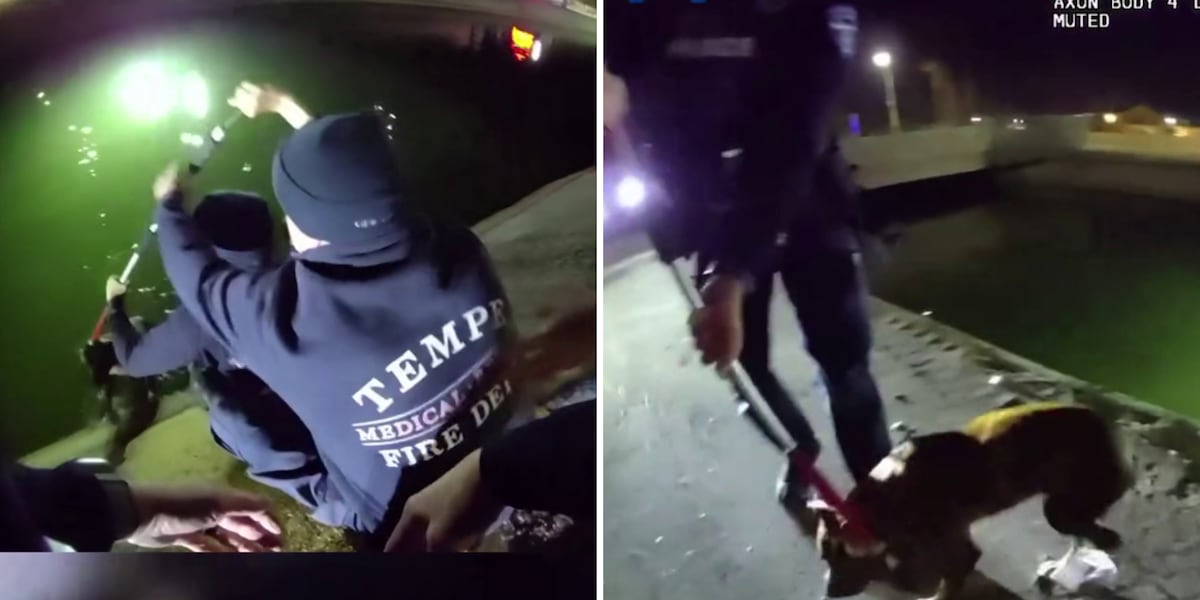 Firefighters, police officers help save pup stuck in Tempe canal