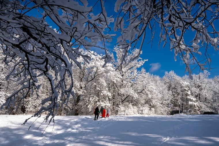 The Butler family finds a (small) hill to sled on in Wallworth Park in Cherry Hill after the sun illuminated a winter wonderland landscape on Sunday.
