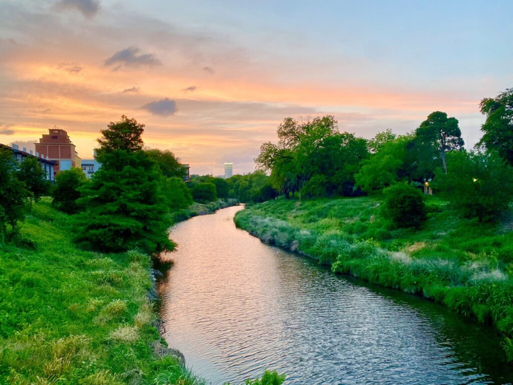 Roxanne Luna - Judge's Choice -Bexar