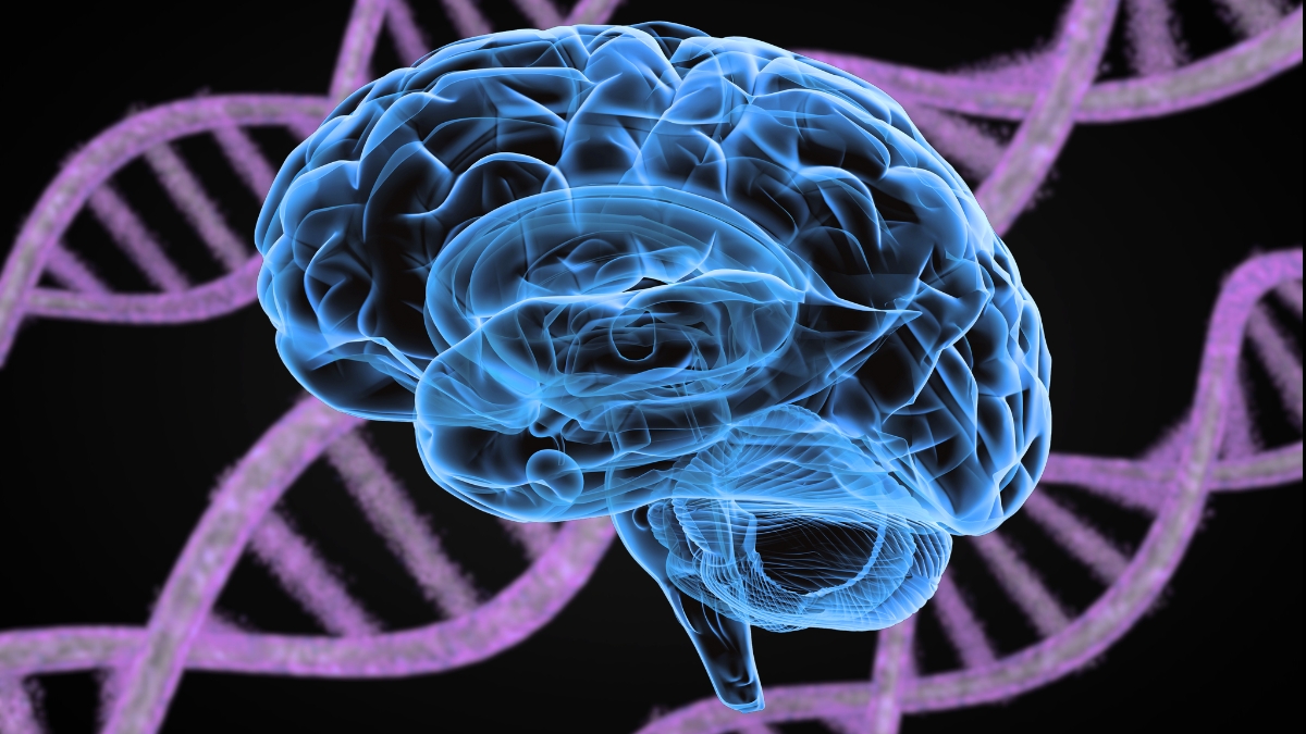 14 Psychiatric Disorders Share 5 Genetic Roots, Major Study Reveals : ScienceAlert