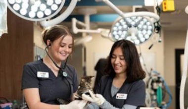 Arizona Humane Society to offer after‑hours pet care at Phoenix location