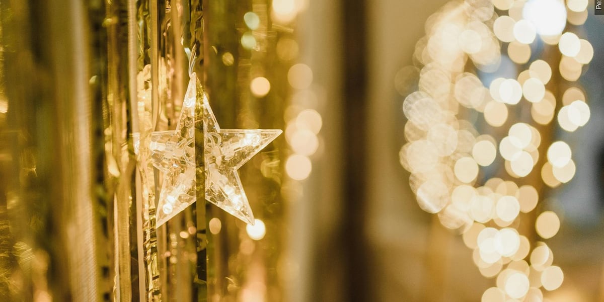 Electric light parade, holiday theater performances among things to do across Phoenix-area