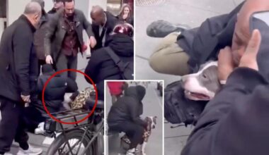 Pit bull attacks baby on NYC street and refuses to let go