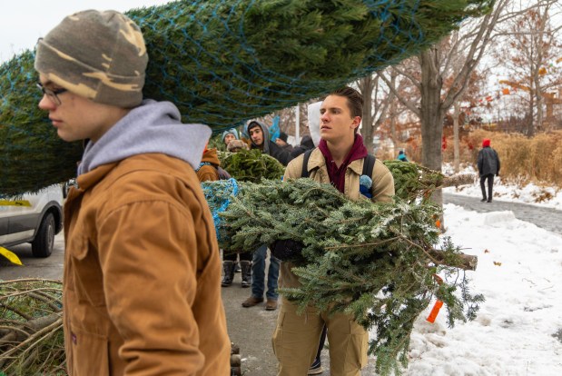 Volunteers drop off Christmas trees that were unloaded from the USGC Mackinaw before they were delivered to families in need during the 25th Anniversary Voyage of Chicago's Christmas Ship, Dec. 6, 2025, at Polk Brothers Park in Chicago. (Dominic Di Palermo/Chicago Tribune)