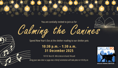 A Free New Year's Eve Get-Together For North Texas Party Animals Of All Ages