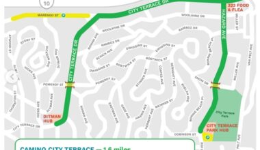 This Week In Livable Streets