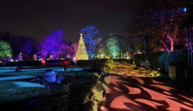 Only 1 Hour From Chicago—a Stunning Movie-Themed Light Show With Ice Skating and a 20-Foot Tree