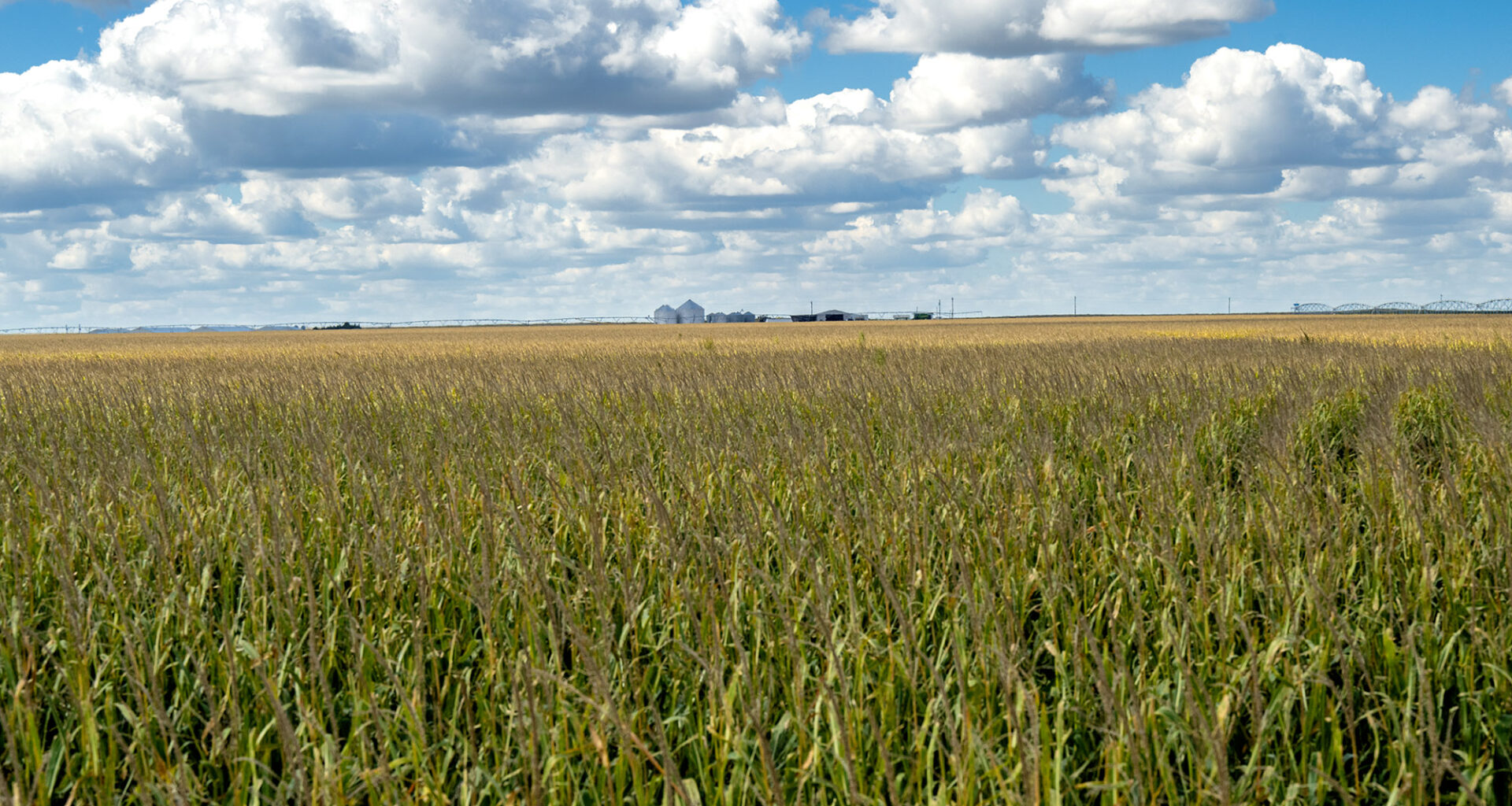 After chaotic year, experts predict what's ahead for Colorado economy in 2026