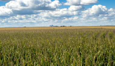 After chaotic year, experts predict what's ahead for Colorado economy in 2026