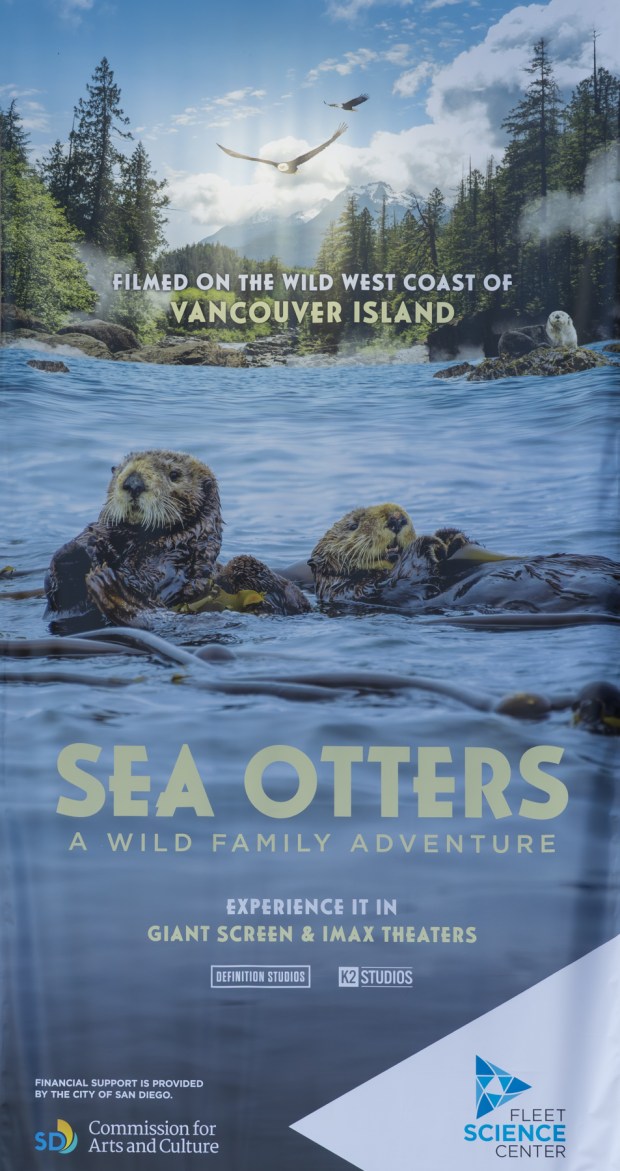 "Sea Otters A Wild Family Adventure" in IMAX(Jan Wagner)