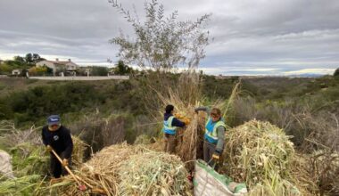 Del Mar Mesa Fire Safe Council wins grant to start Fire Safe the Mesa project – San Diego Union-Tribune