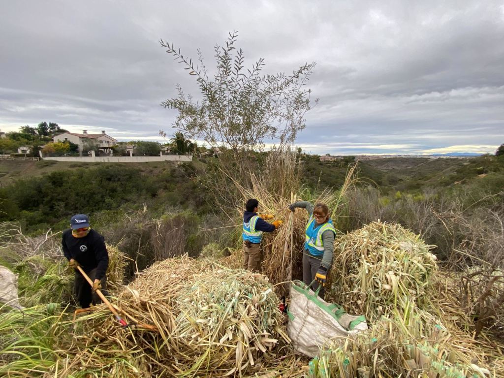 Del Mar Mesa Fire Safe Council wins grant to start Fire Safe the Mesa project – San Diego Union-Tribune