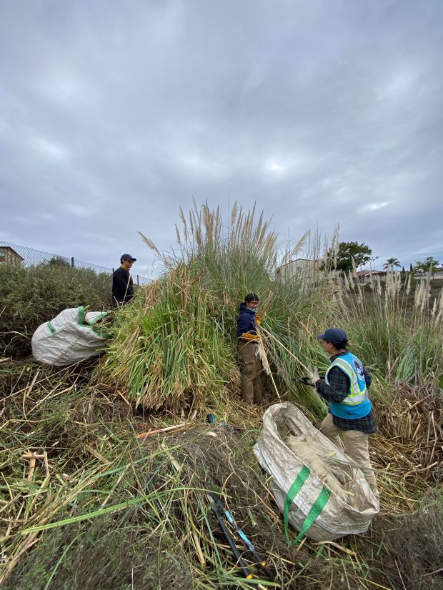 San Diego Canyonlands began work last month on the Fire...