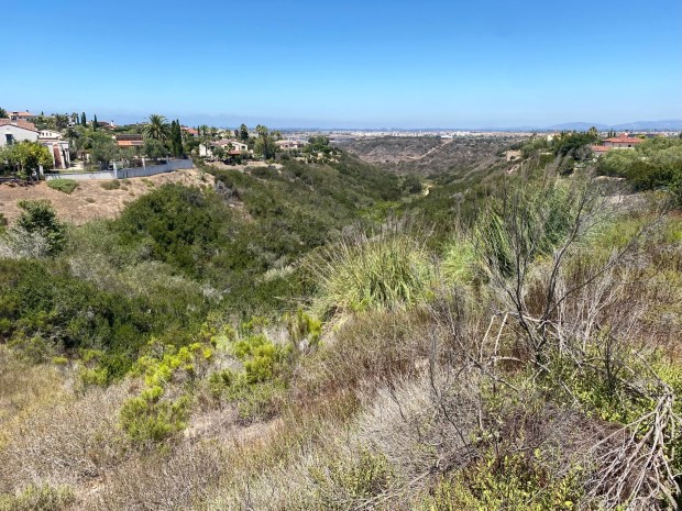 The Del Mar Mesa Fire Safe Council's Fire Safe the Mesa project is providing brush management in the preserve for wildfire prevention. (Courtesy San Diego Canyonlands)