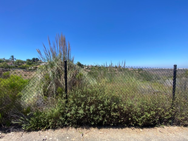 The Del Mar Mesa Fire Safe Council’s Fire Safe the...